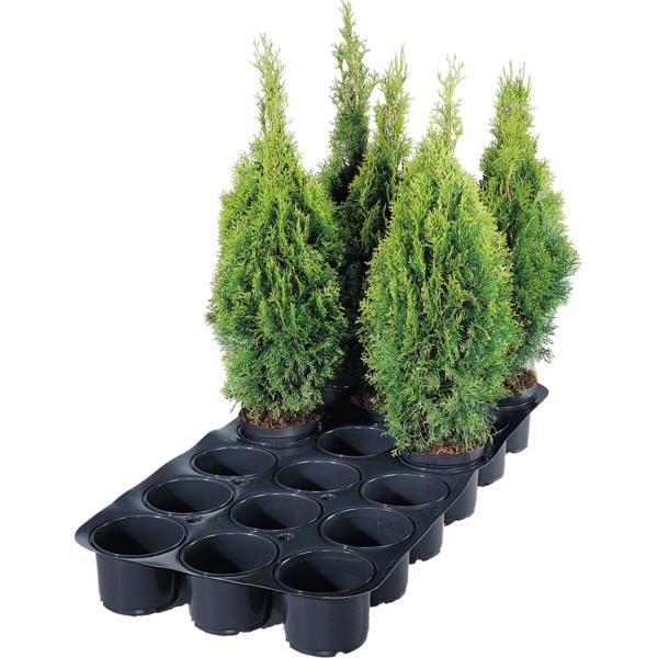 Super pladenj za 18 loncev 19-21 cm