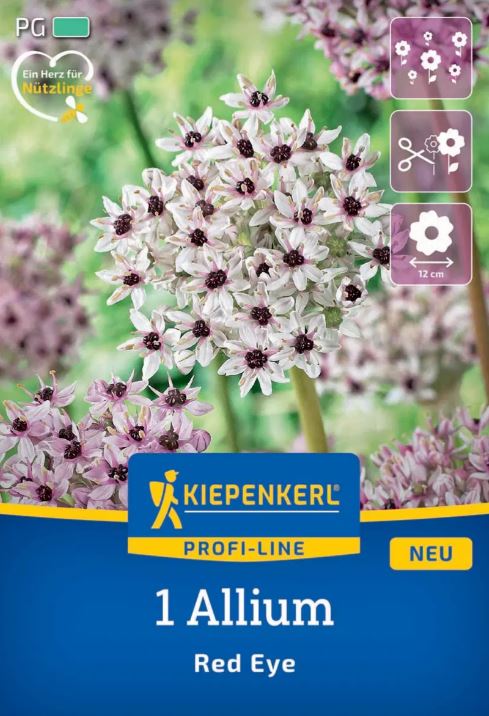 Virághagyma Díszhagyma Red Eye Kiepenkerl 1 db
