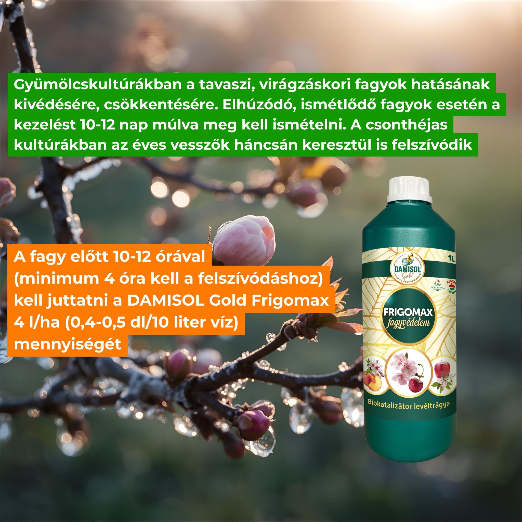 Damisol Gold Frigomax frost protection 1 l