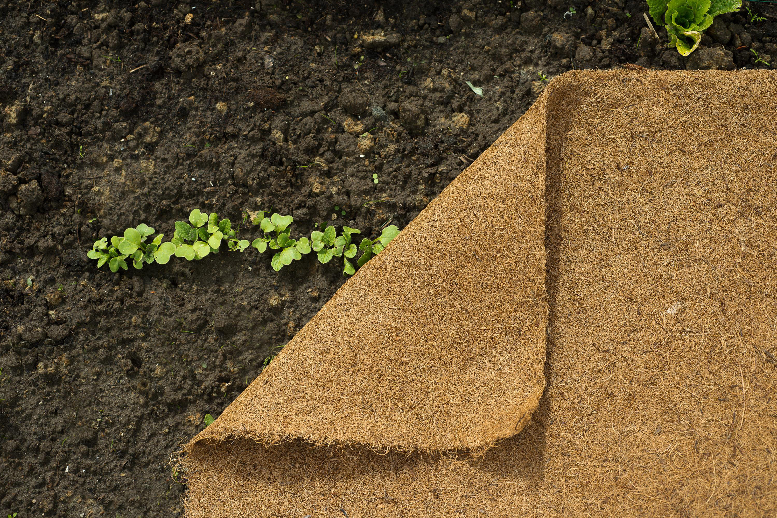 Preproga v zvitkih 60cmx25m