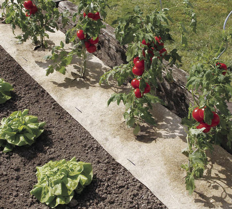 Mulč 100 % naravni Nort Chanverlin 500 0,5x3 m