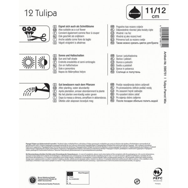 Čebulice tulipanov Mega-Pack (papagajski cvet) mešanica barv Kiepenkerl 12 kosov