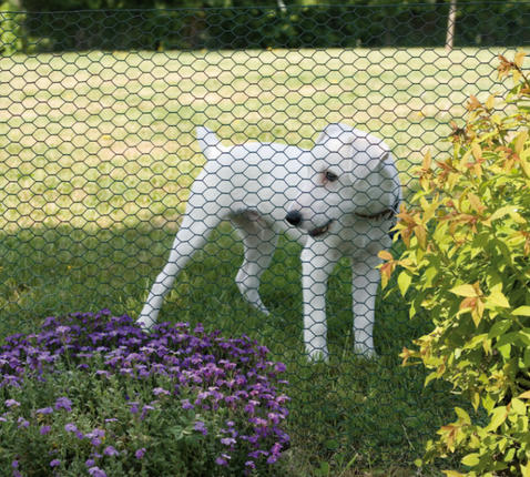 Mreža za perutnino s plastično prevleko Galvanex Plast 13 0,5x25m (13x0,7/0,9mm)