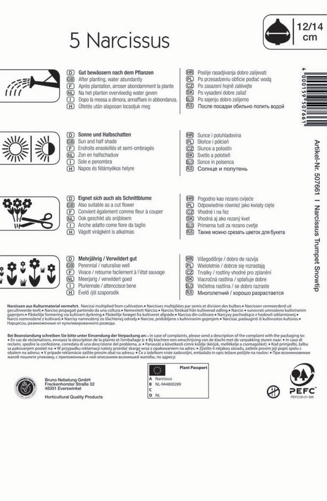 Bulbs Narcissus Snowtip Kiepenkerl 5 pcs