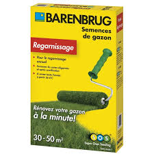 Grass seed Barenbrug SOS-Super Over Seeding 1 kg