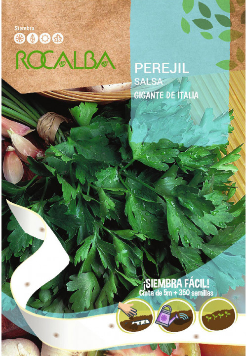 Trakovi s semeni drobnjaka Gigante de Italia Rocalba 350 zrn 5 m