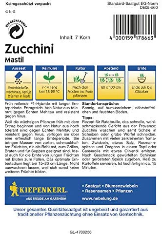 Bučke Mastil F1 Kiepenkerl 7 semen