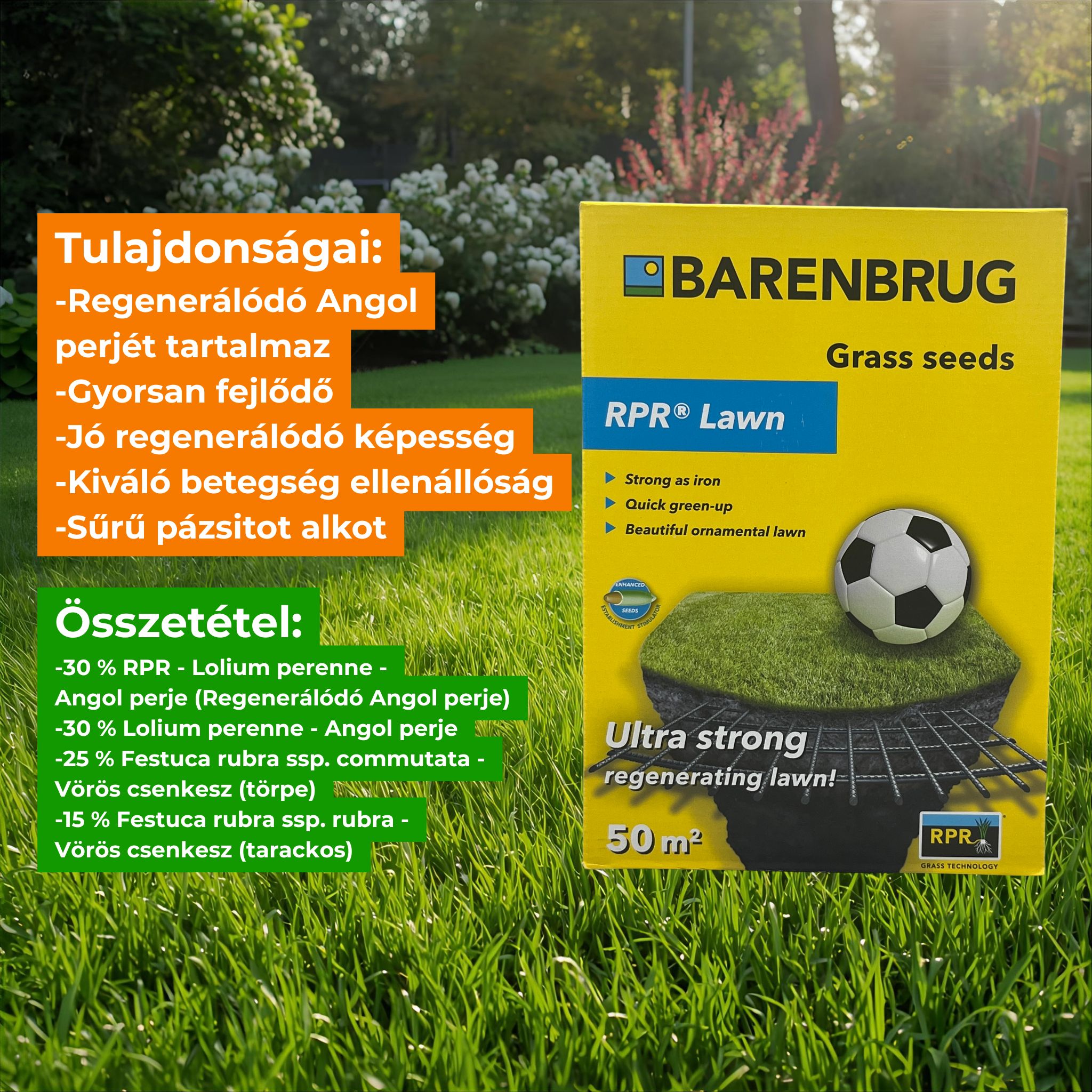 Grass seed Barenbrug Bar Power RPR (sport) 1 kg
