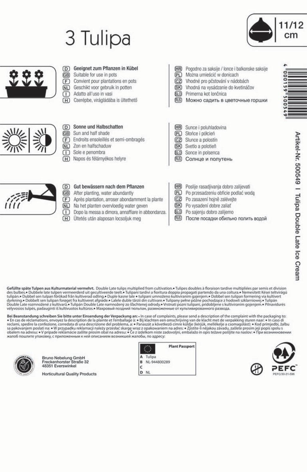 Cvetlična čebulica Tulipan sladoled 3 kosi Kiepenkerl