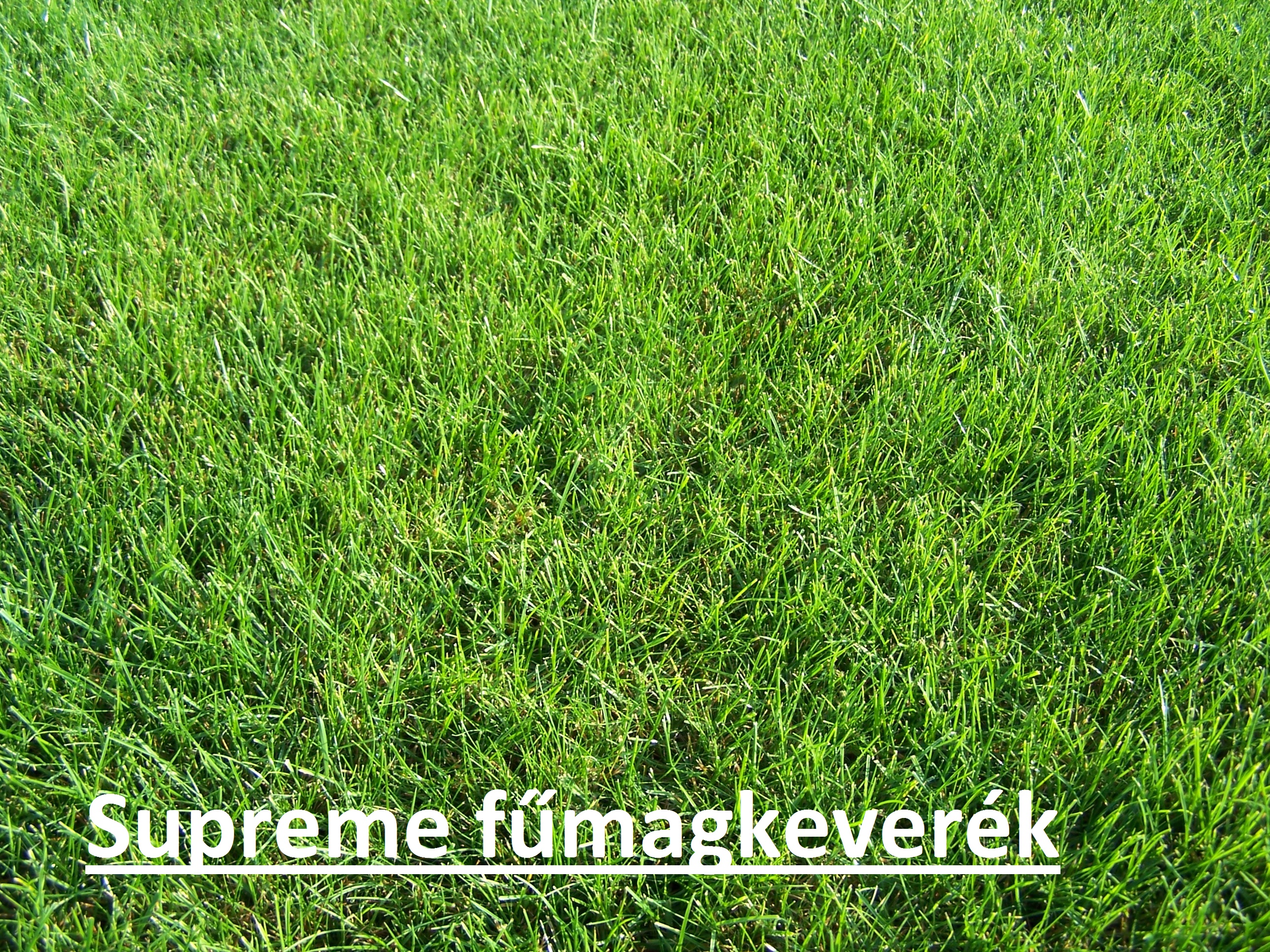 ICL Travno seme Supreme 5 kg