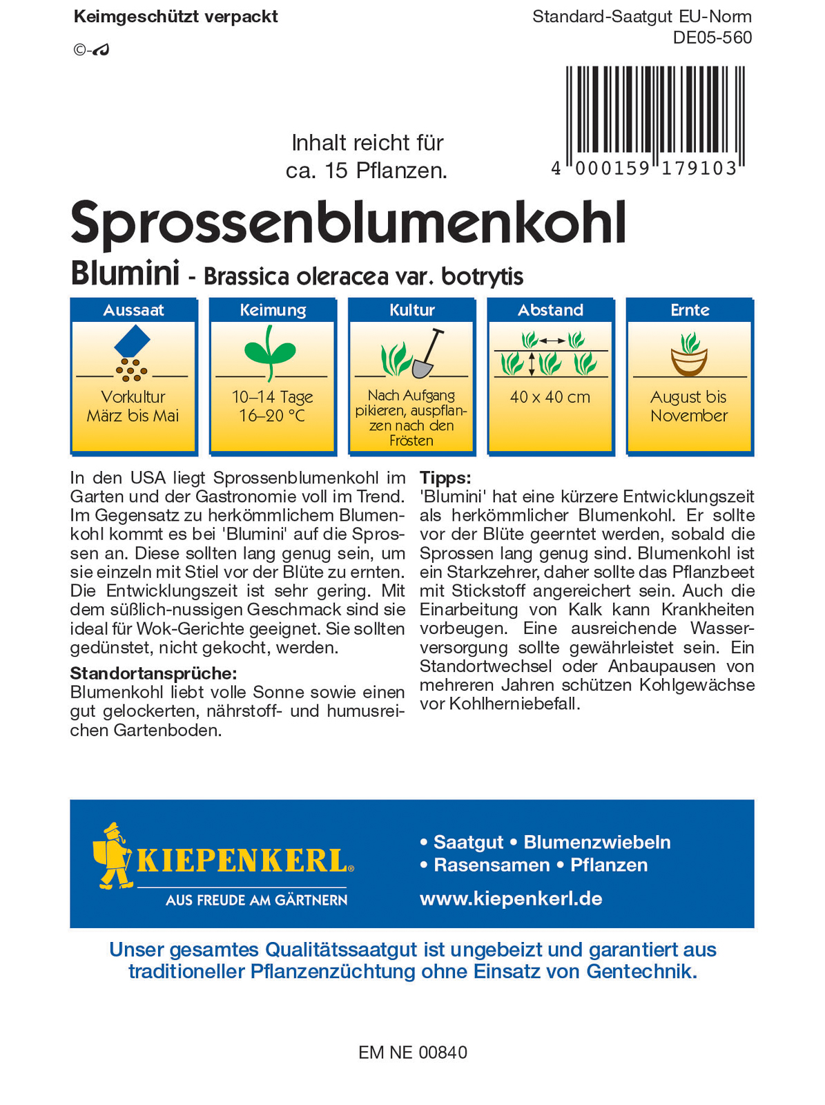 Cvetni popki cvetače Blumini F1 Kiepenkerl 15 kosov
